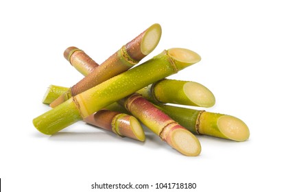 Sugar Cane Cut White Background