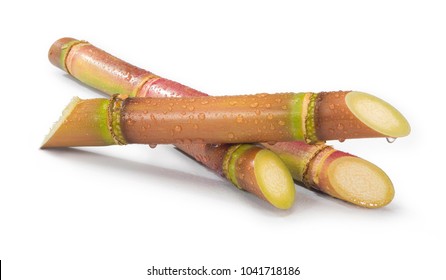 Sugar Cane Cut White Background