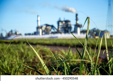 Sugar Cane Factory