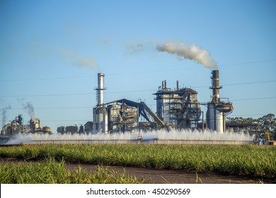 Sugar Cane Factory