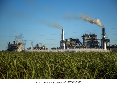 Sugar Cane Factory