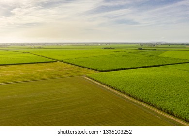 Sugar Cane Farm In North Queensland