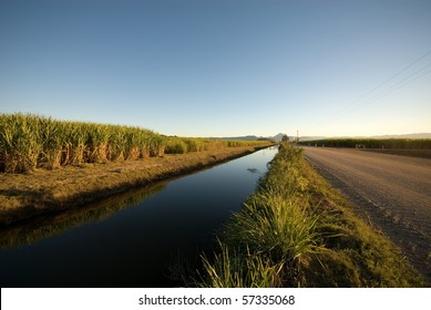A sugar cane field, adjacent to an irrigation canal, captured in the late afternoon