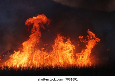 Sugar Cane Fire 2