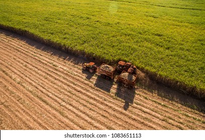 Sugar cane hasvest plantation aerial - Shutterstock ID 1083651113