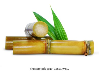 Sugar Cane Isolated On White Background 