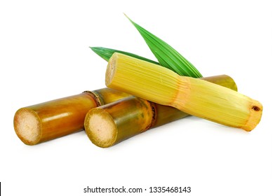 Sugar cane isolated on white background 