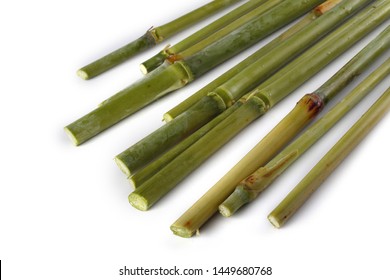 Sugar Cane Isolated On White