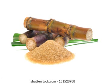 Sugar Cane Isolated On White Background