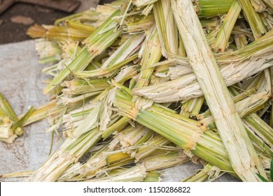 Sugar Cane Natural Cellulose Fibers And Source Of Ethanol Biofuel Production