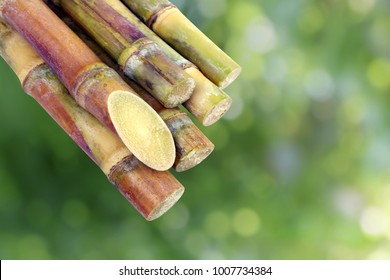 Sugar Cane, Cane, Sugarcane Piece Fresh, Sugar Cane On Green Nature Bokeh Background, Sugarcane Agriculture