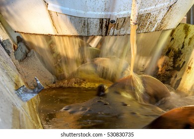 Sugar Centrifuge