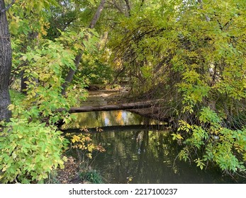 Sugar House Log Bridge Over Calm River