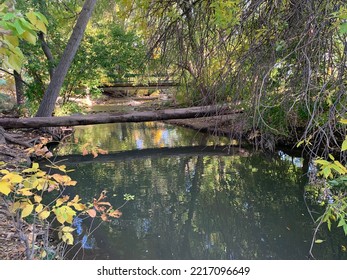 Sugar House Park River With Log Bridge