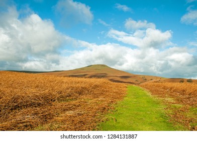 Sugar Loaf Mountain And Grass Pathway In The Brecon Beacons Of Wales, United Kingdom.