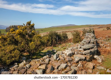 Sugar Loaf Mountain, Monmouthshire, Wales, UK