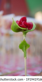 Sugar Sculpture Candy In Shape Of Rose