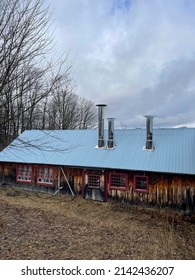 Sugar Shack Country Maple Syrup