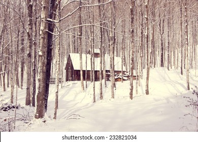 sugar shack in snowy forest