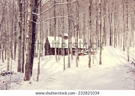 sugar shack in snowy forest