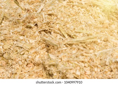 Sugarcane Bagasse Bagasse Fibrous Material Left Stock Photo 1040997910 ...