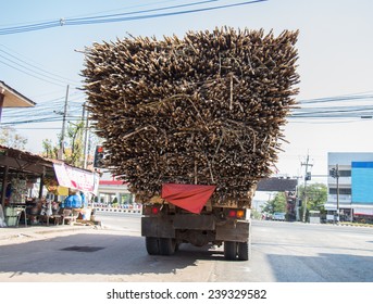 Sugarcane On A Trailer Ready To Go To The Sugar Factory.