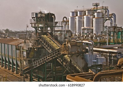 Sugarcane Plant Ethanol Production