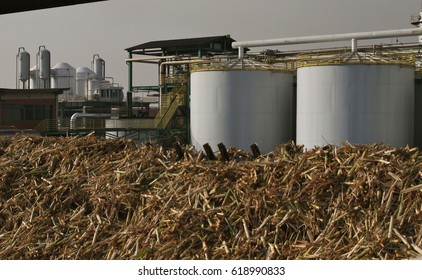 Sugarcane Plant Ethanol Production