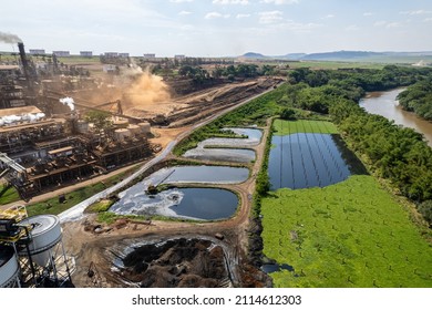 Sugarcane Plant Producing Renewable Energy. Ethanol Industry. Alcohol.