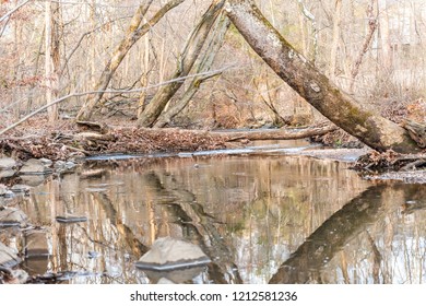 Sugarland Run Stream Valley Trail River Water Reflection In Herndon, Northern Virginia, Fairfax County In Spring, Nobody