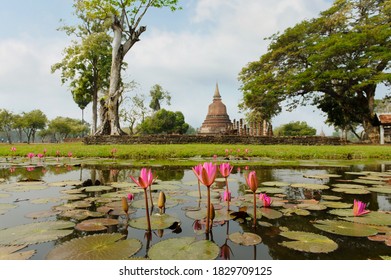 Sukhothai Historical Park, The Old Town Of Thailand In 800 Year Ago,UNESCO World Heritage Site In Thailand