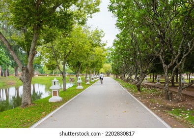 SUKHOTHAI,THAILAND- MAY 3,2018 : Street Trees In Sukhothai Historical Park.,capital Of The Sukhothai Kingdom.Located In North Central Thailand. 