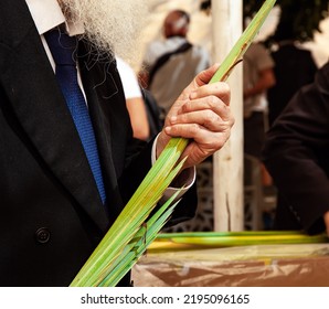 Sukkot is one of the main holidays of the Jewish people. The commandment of Sukkot is a bunch of four plants. Pre-holiday bazaar for the sale of ritual plants - Palm branches. Israel, Jerusalem