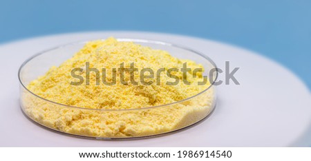 sulfur powder in petri dish, chemical substance for industrial use