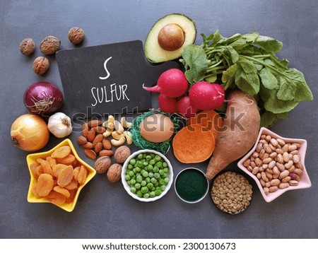 Sulfur rich foods for hair growth. Natural food sources of sulfur with the symbol S. Healthy food to boost glutathione. Onion, garlic, dried apricot, radishes, nuts, seeds, eggs, spirulina, etc.