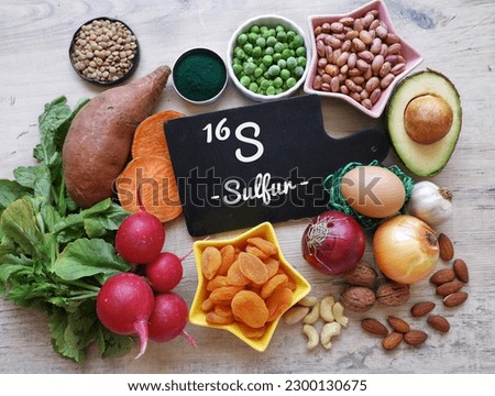 Sulfur rich foods for hair growth. Natural food sources of sulfur with the symbol S and atomic number 16. Healthy food to boost glutathione. Onion, garlic, dried apricot, radishes, nuts, spirulina...
