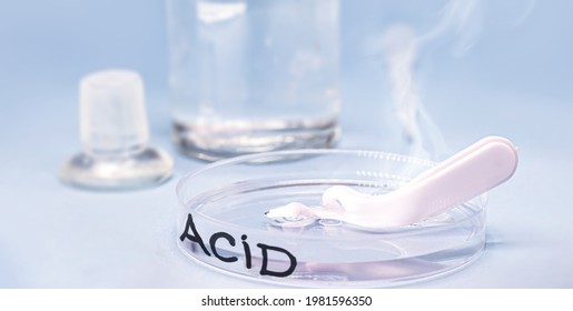 Sulfuric Acid In Petri Dish, Melting Plastic Spoon, Corrosive Acid In Action