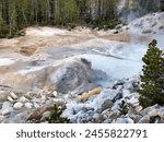 Sulphur Caldron in Hayden Valley Geyser Basin, Yellowstone National Park in Wyoming.