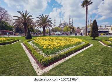 Sultan Ahmed Mosque Blue mosque in Istanbul, Turkey in a beautiful summer day