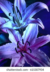 Sultry Moody Blue Lilies - two blue purple graphical lilies with dark lighting, ideal for a wall canvas
 - Shutterstock ID 615307934