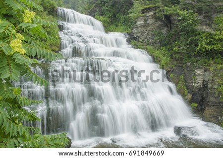 Sumac grows besides Hector Falls on Hector Creek, Schuyler County, New York