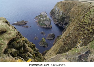 Sumburgh Head Scotland