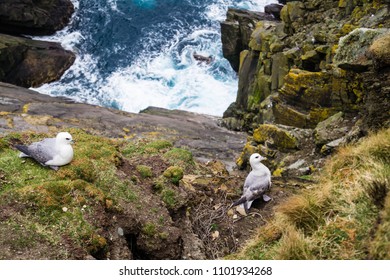 Sumburgh Head Scotland