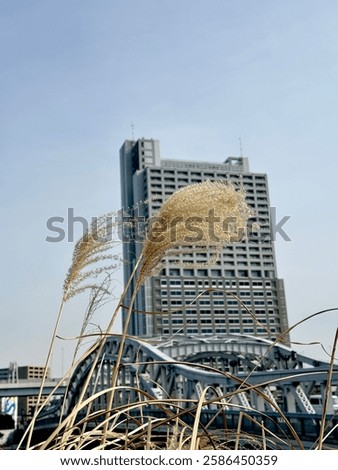 ``SUMIDA RIVER TOKYO SKY TREE``  good spot to enjoy your holiday in there you can walk around the river or you condo picnic in sakura season too I like to walk around this area enjoy  to took a pic