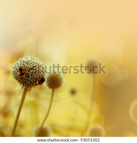 Summer. Abstract nature background