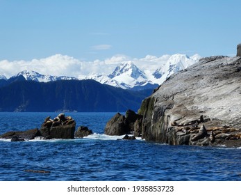 Summer In Alaska On The Kenai Peninsula 