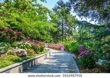 Summer alley in urban park among blooming flowers & trees. Shot in urban park Paradise (sanatorium Ayvazovskoe) in Partenit, Crimea