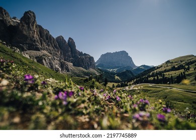 Summer alpine landscape of Dolomites. View of Sassolungo (Langkofel) from Gardena pass. Rocky Dolomiti landscape in summer. South Tyrol, Italy.