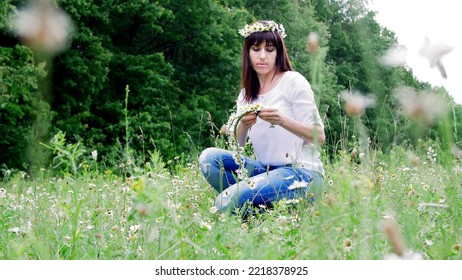 Summer, Amidst A Chamomile Lawn, In A Forest, A Young Woman, A Brunette Weaves A Wreath Of Chamomiles. High Quality Photo