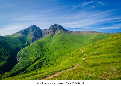 Summer In Anchorage Alaska's Chugach Mountains